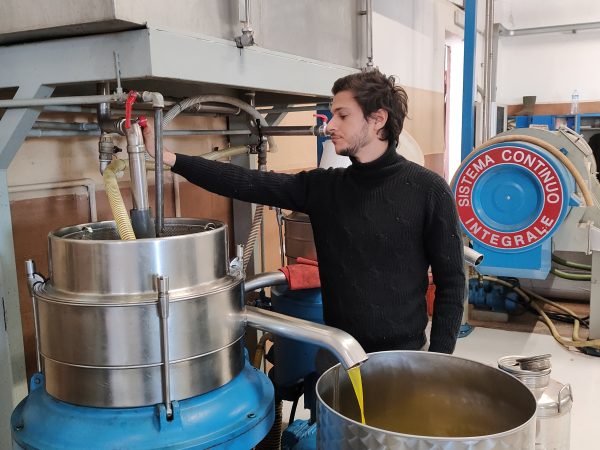 15 LITRI DI OGLIAROLA + 15 LITRI DI CORATINA - immagine 4