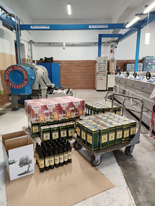 15 LITRI DI OGLIAROLA + 15 LITRI DI CORATINA - immagine 5